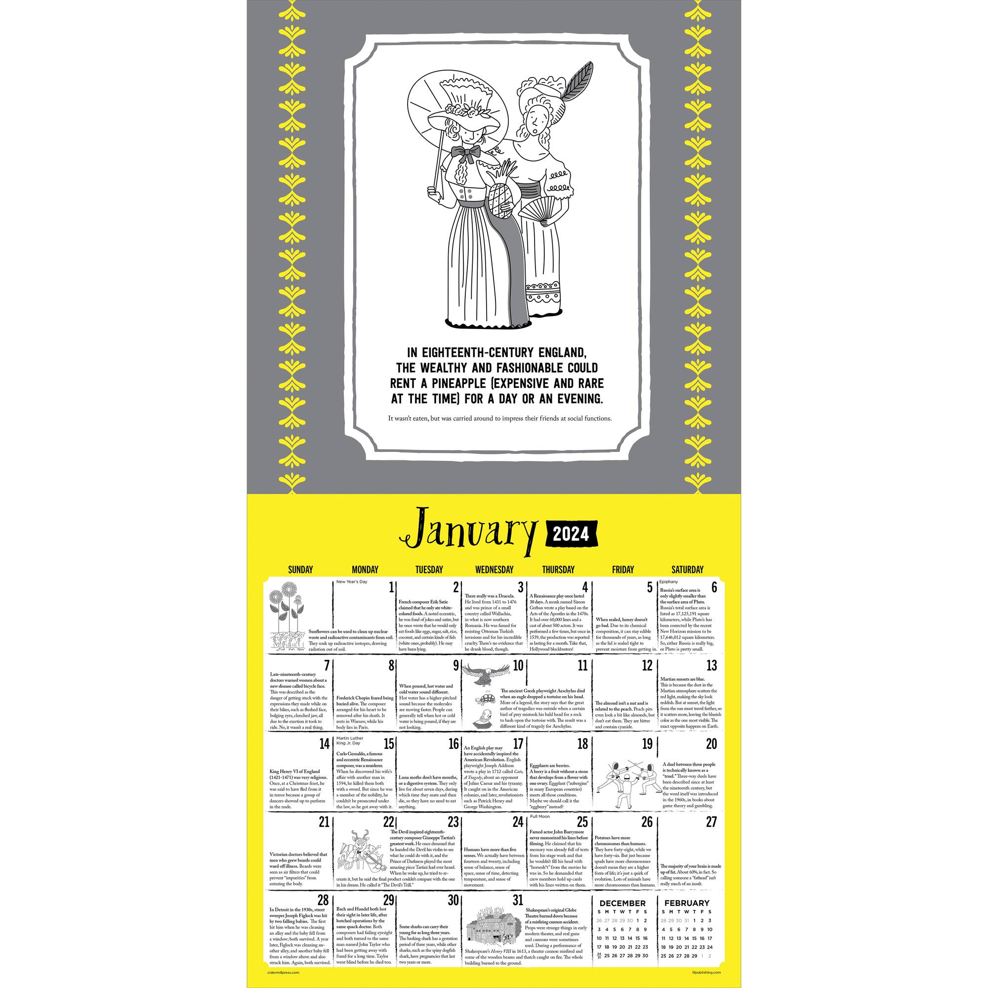 TF Publishing 2024 Insane But True Wall Calendar